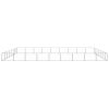 Dog Kennel Silver 678.1 ftÂ² Steel